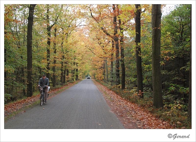 Herfstkleuren Beverbeek 1.jpg - Herfstkleuren Beverbeek